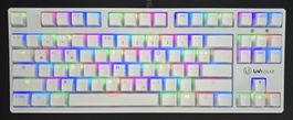 GamingKeyboard,schnelle switches,DEU+US Keycaps,prelubed