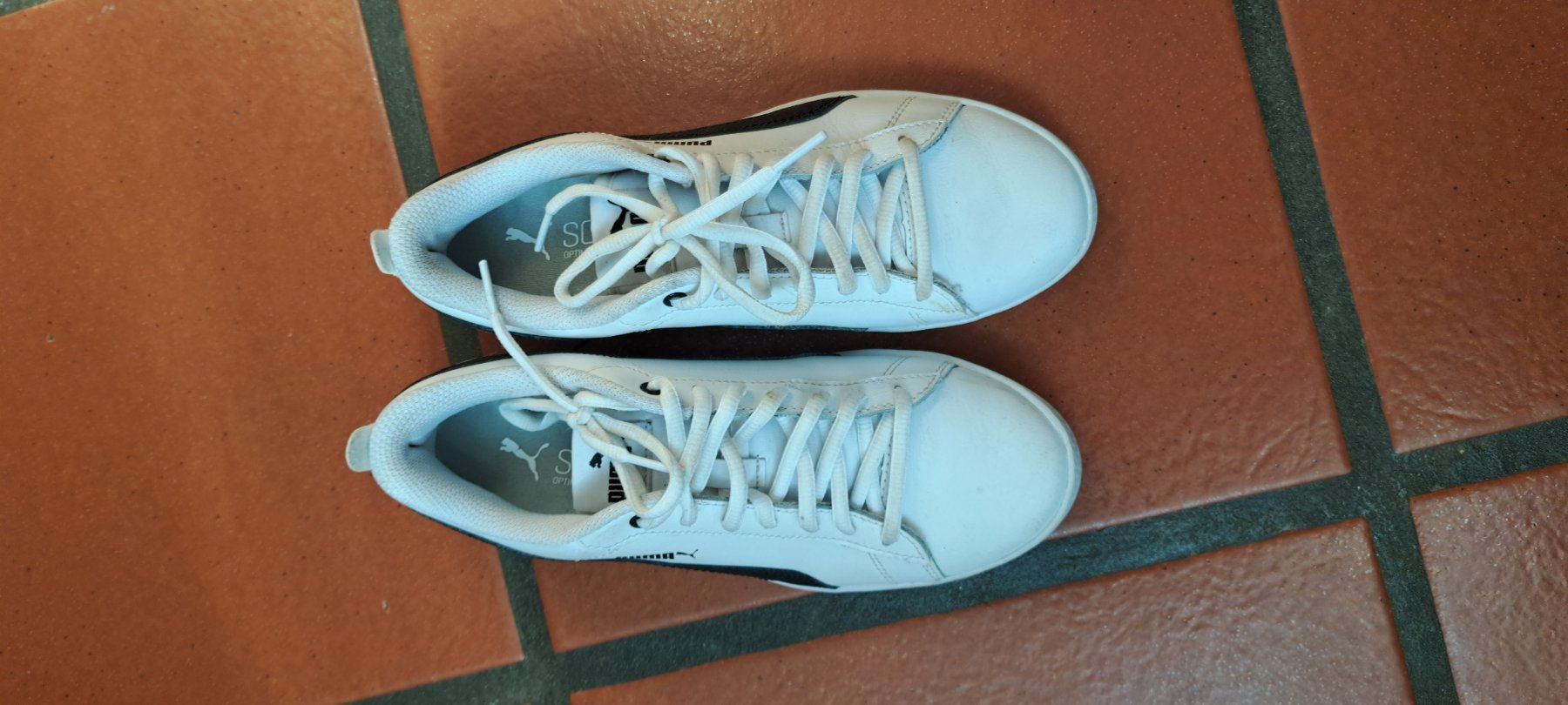 Puma Scarpe da uomo: Puma Schuh 37 – Usato da Umiken venduto da Appstro