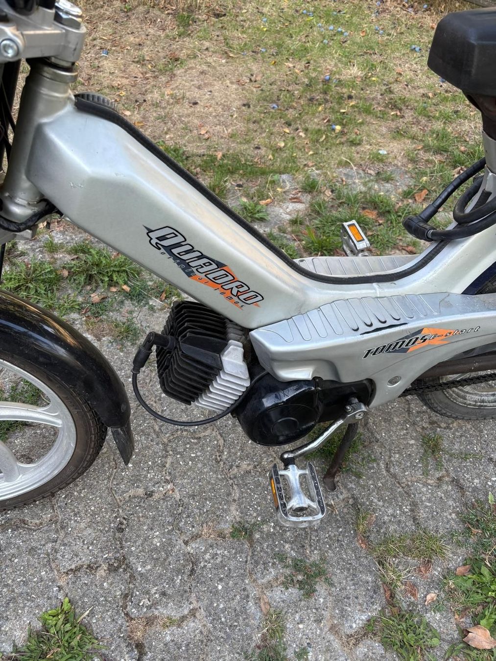 Tomos Cyclomoteurs: töfli tomos quadro  – D'occasion à Lyss par oli018