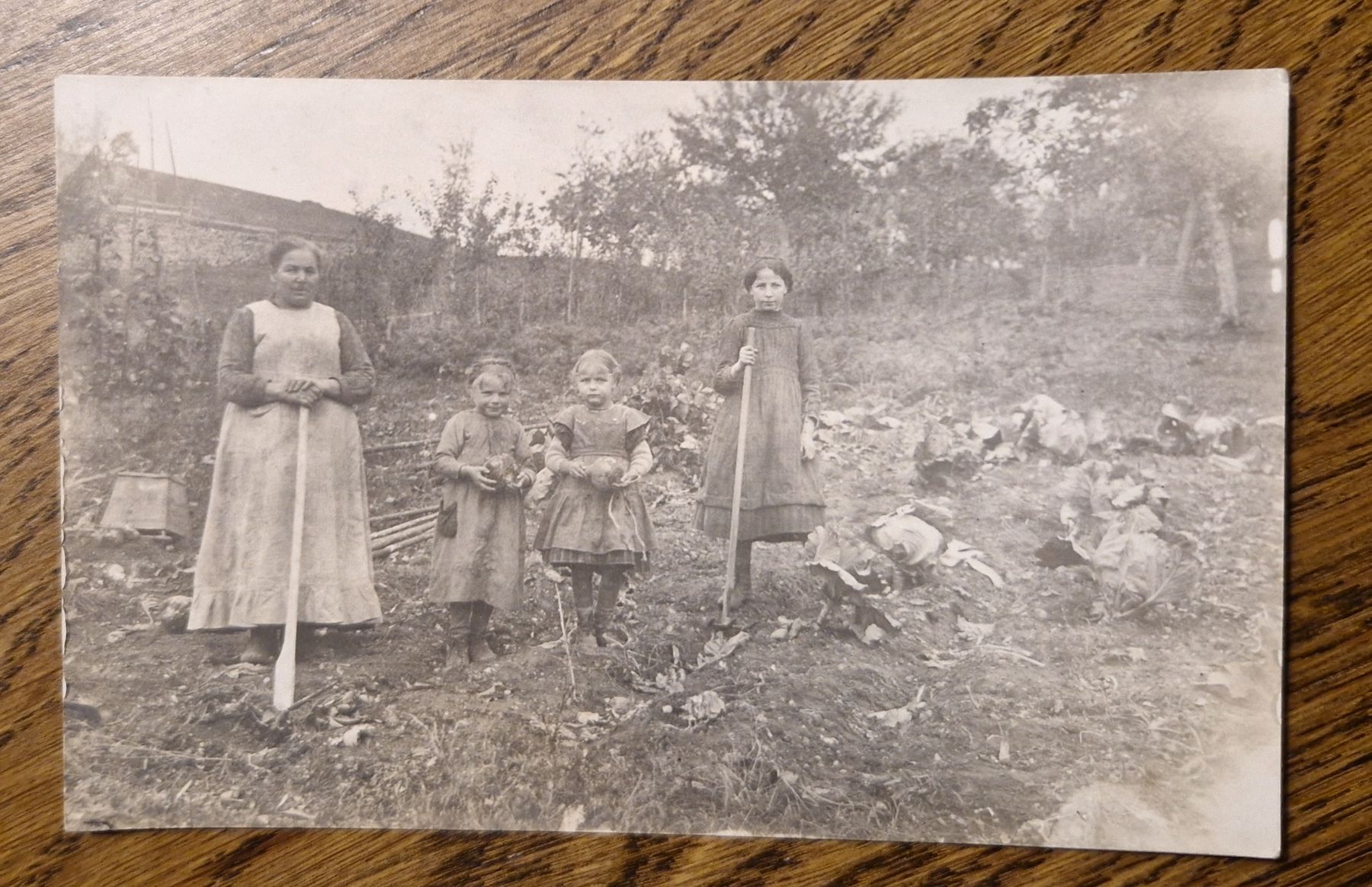 Cartes postales: Bäuerin mit 3 Kindern auf dem Felde – D'occasion à Ebikon par Donar50