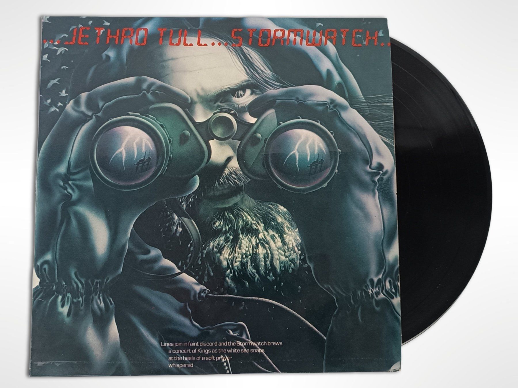 Dischi in vinile: Vinyl Jethro Tull - Stormwatch – Usato da Suhr venduto da Restwert_Suhr 2