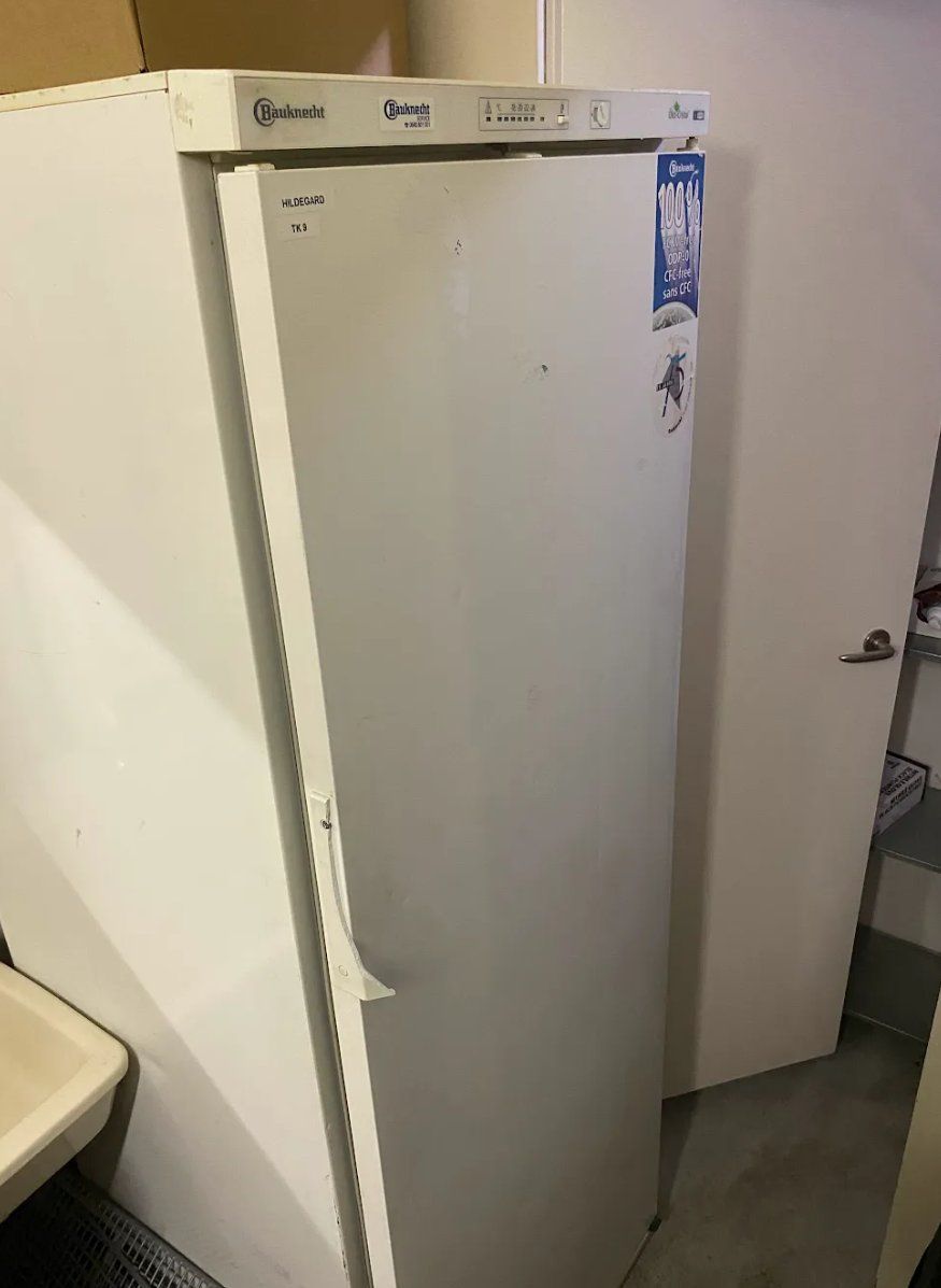 Congelatori: Bauknecht TK-Schrank – Usato da Bern venduto da Bakery_Bakery