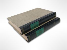NSB Universal Wörterbuch 2 Stk.
