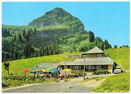 MONTREUX Le Manoire - Restaurant du Col-de-Jaman - Auto