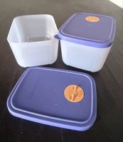 Tupperware Gefrierbehälter 