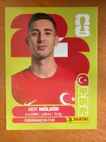 Panini TUR3