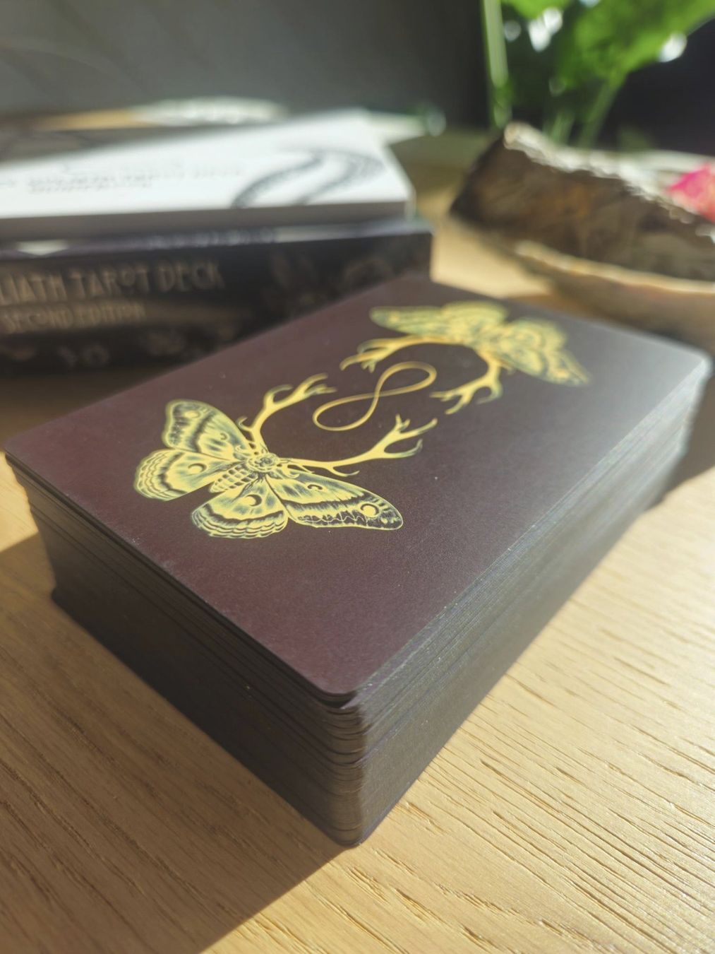 Libri: The El Goliath Tarot Deck 2nd Edition – Usato da Nuglar venduto da mjc_cw9f 2