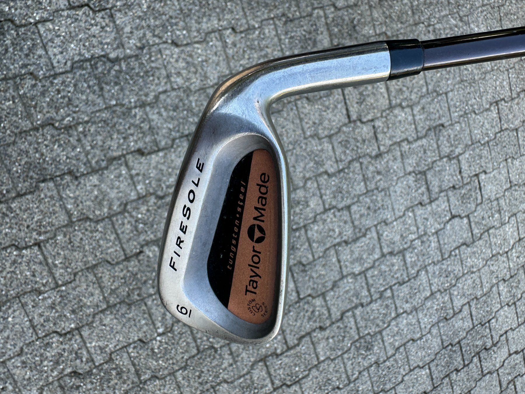 Taylor Made Mazze & Set: TaylorMade Firesole Custom 6er Eisen – Usato da Thalwil venduto da Maricortin