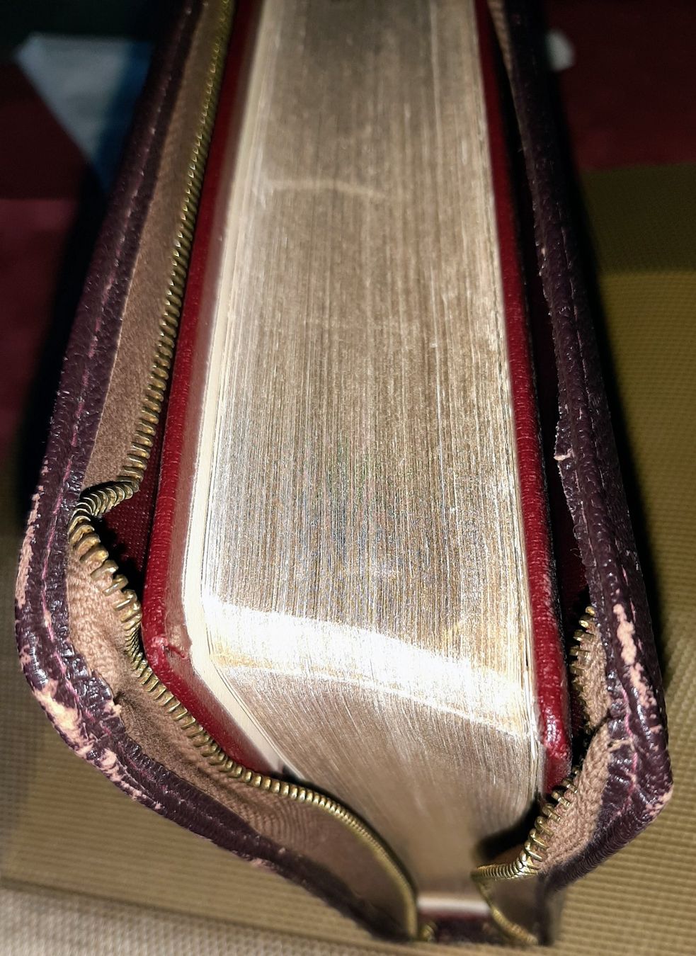 Libri: Bibel Scofield – Usato da Zürich venduto da Zurich 9