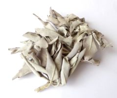 Räucher-Ingredienz - Weisser Salbei (White Sage)