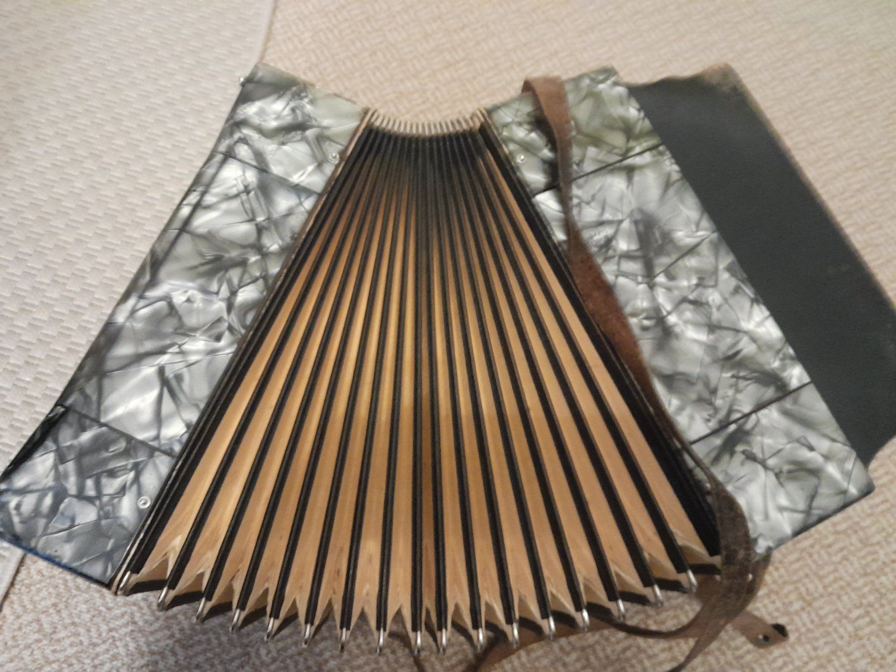 Strumenti musicali: Hohner Concertina Vineta – Usato da Tann venduto da Raqueldoo 5