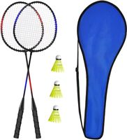 Federball Badminton Schläger of 2 oder 4 Erwachsene Kinder