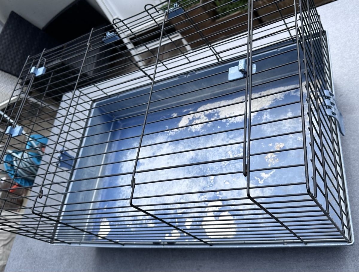 Gabbie, trasporto & Sicurezza: Cage transport animaux – Usato da Martigny venduto da jereq 1