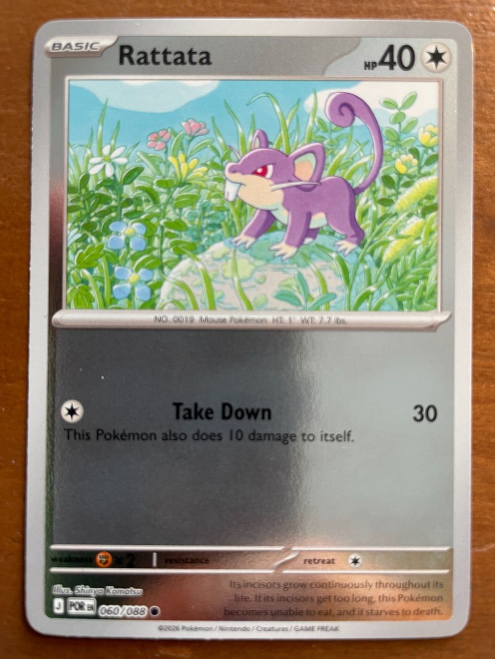 Pokémon Carte collezionabili: Pokemon Rattata Reverse (Versand gratis) – Nuovo (secondo la descrizione) da Chur venduto da Angerson