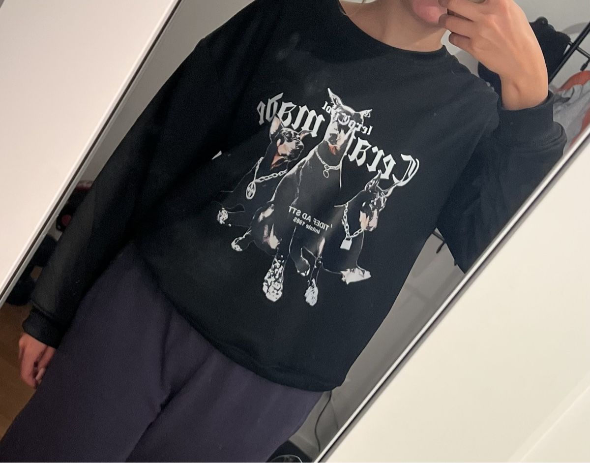 Pulls & Sweat-shirts: Y2K Sweatshirt Grösse M – D'occasion à Wettingen par Jaaani 1