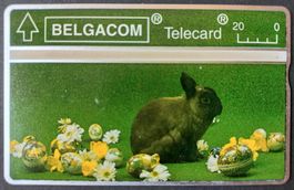 Taxcard - "Oster"-Kaninchen - B