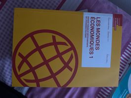 Les mondes économiques 1