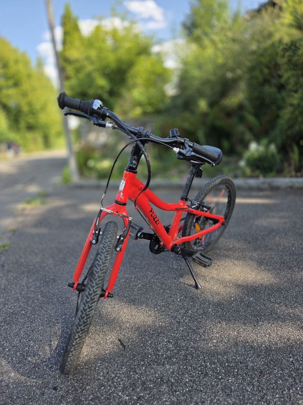 Flizzi Biciclette: Kinderfahrrad Flizzi rot 20-Zoll – Usato da Rickenbach Sulz venduto da Flores1980 1