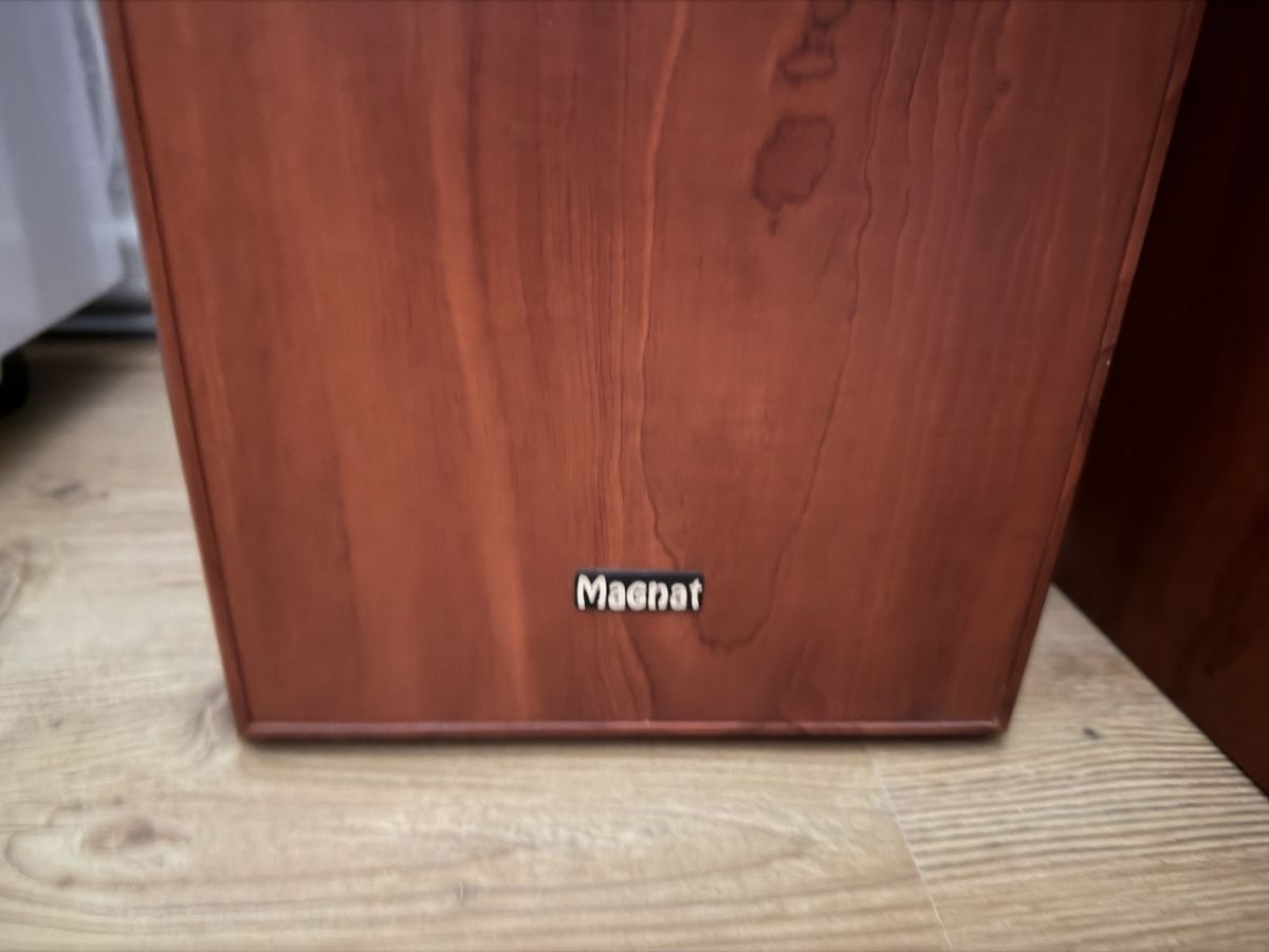 Magnat Haut-parleurs: Magnat Monitor 1000 – D'occasion à Untersiggenthal par jo_black82 2