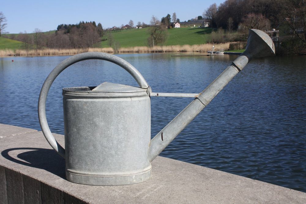 HOME IT Gießkanne 10L Verzinkt | Mit Brause | Robuster Stahl | Garten