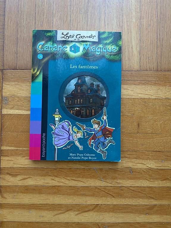 Bücher: Romans enfants 8-10 ans – Gebraucht aus Pully von mel_p2cq 4