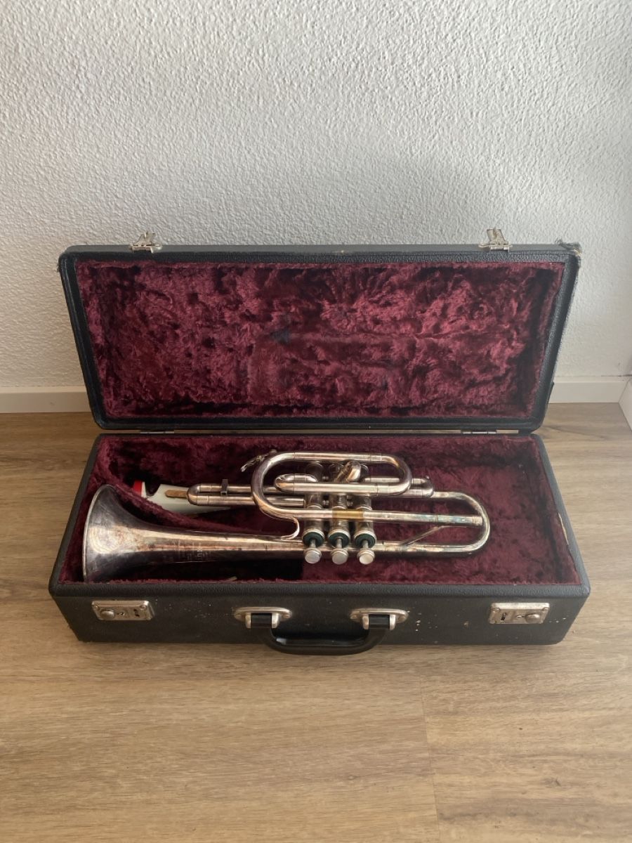 Strumenti musicali: Trompete von Hüttl mit Koffer – Usato da Grosswangen venduto da Yafuda