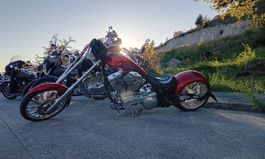 Harley softail big bear sled