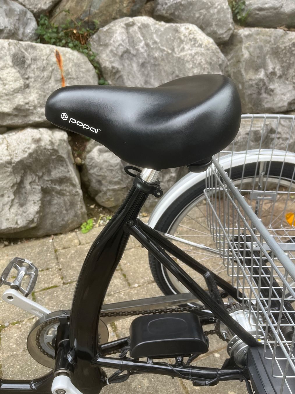 Biciclette: Elektro Dreirad – Usato da Zürich venduto da Leonesse 3