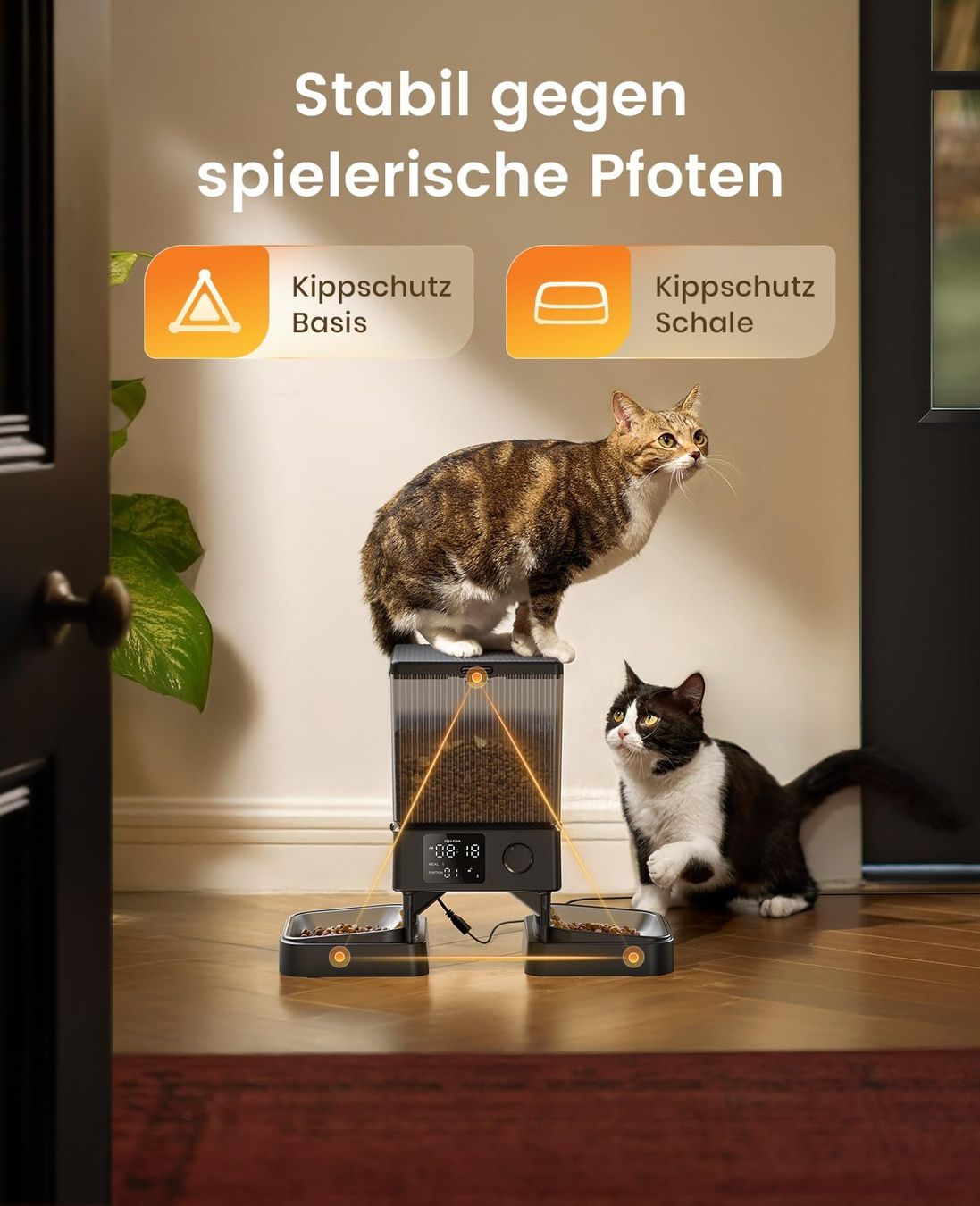 Futter: Futterautomat Katze 2 Näpfe automatisch – Neu und originalverpackt aus Basel von EchoPeak 4