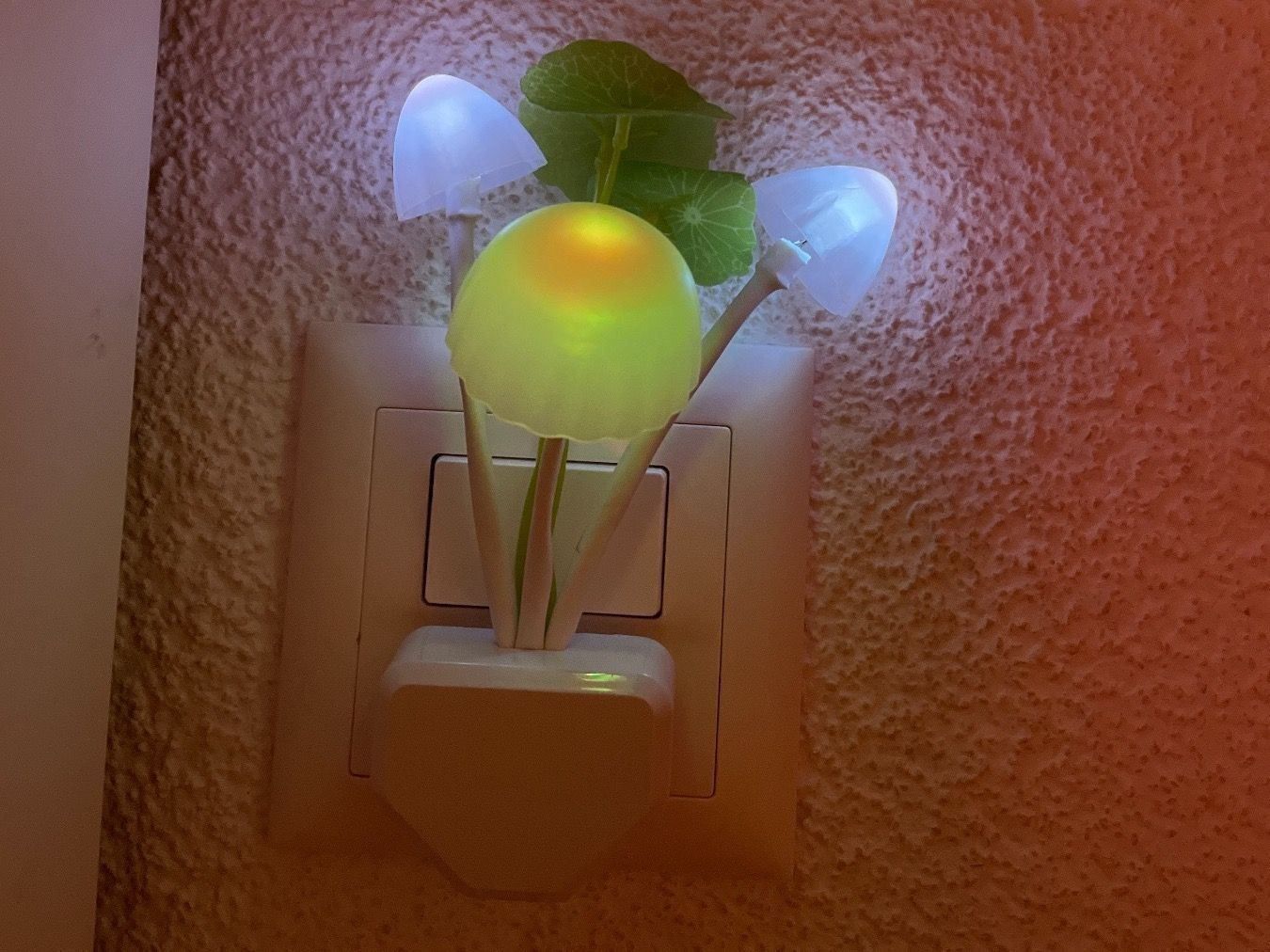 Lampade: LED Lampe – Nuovo e nell'imballaggio originale da Pieterlen venduto da Ksenia3003