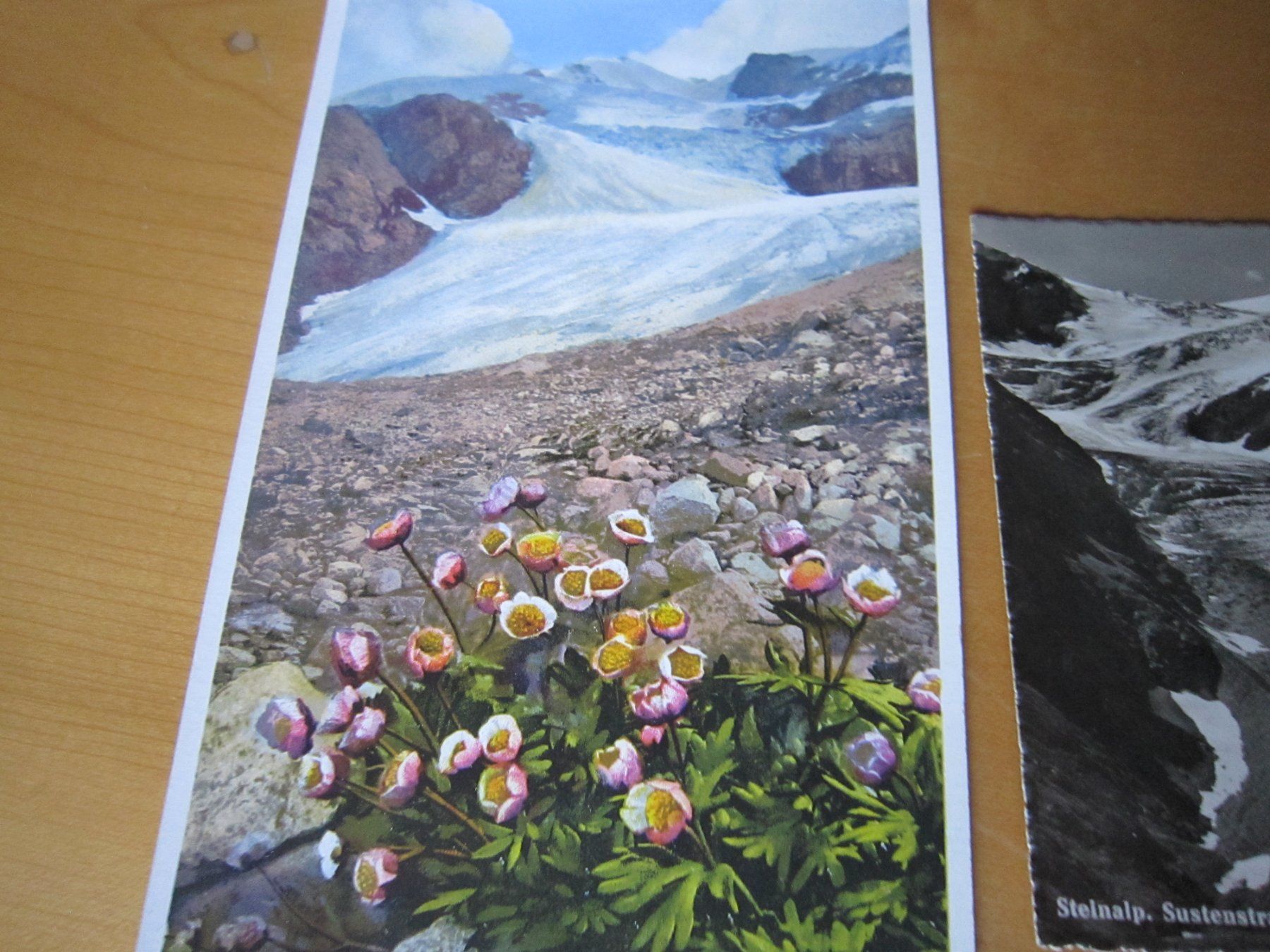 Cartoline postali: No 11 schöne Postkarten Gletscher – Usato da Gordola venduto da Polentaefung 3