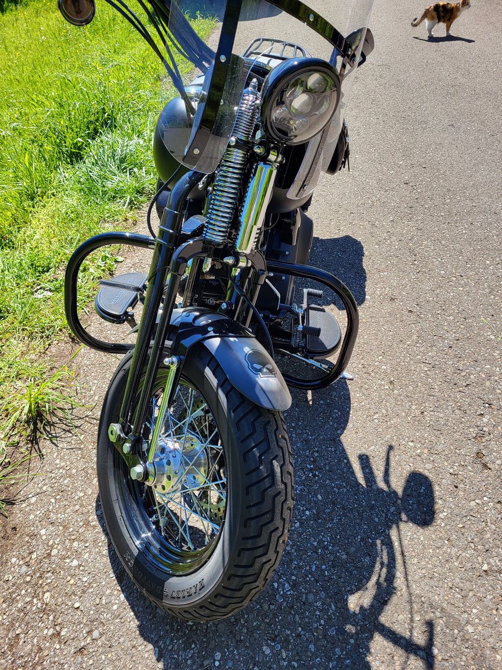Harley-Davidson Altro: Harley Davidson Cross Bones – Nuovo (secondo la descrizione) da Schaffhausen venduto da Bobi013 2