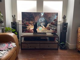 LG OLED evo 55C2 – Top Zustand