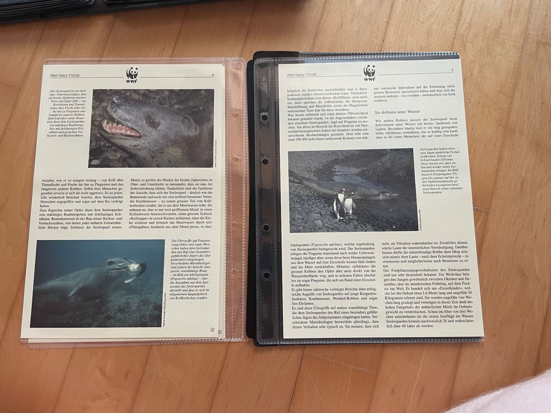 Tutti i francobolli: WWF Set "Der Seeleopard – Usato da Altdorf UR venduto da mic_z8bj 2