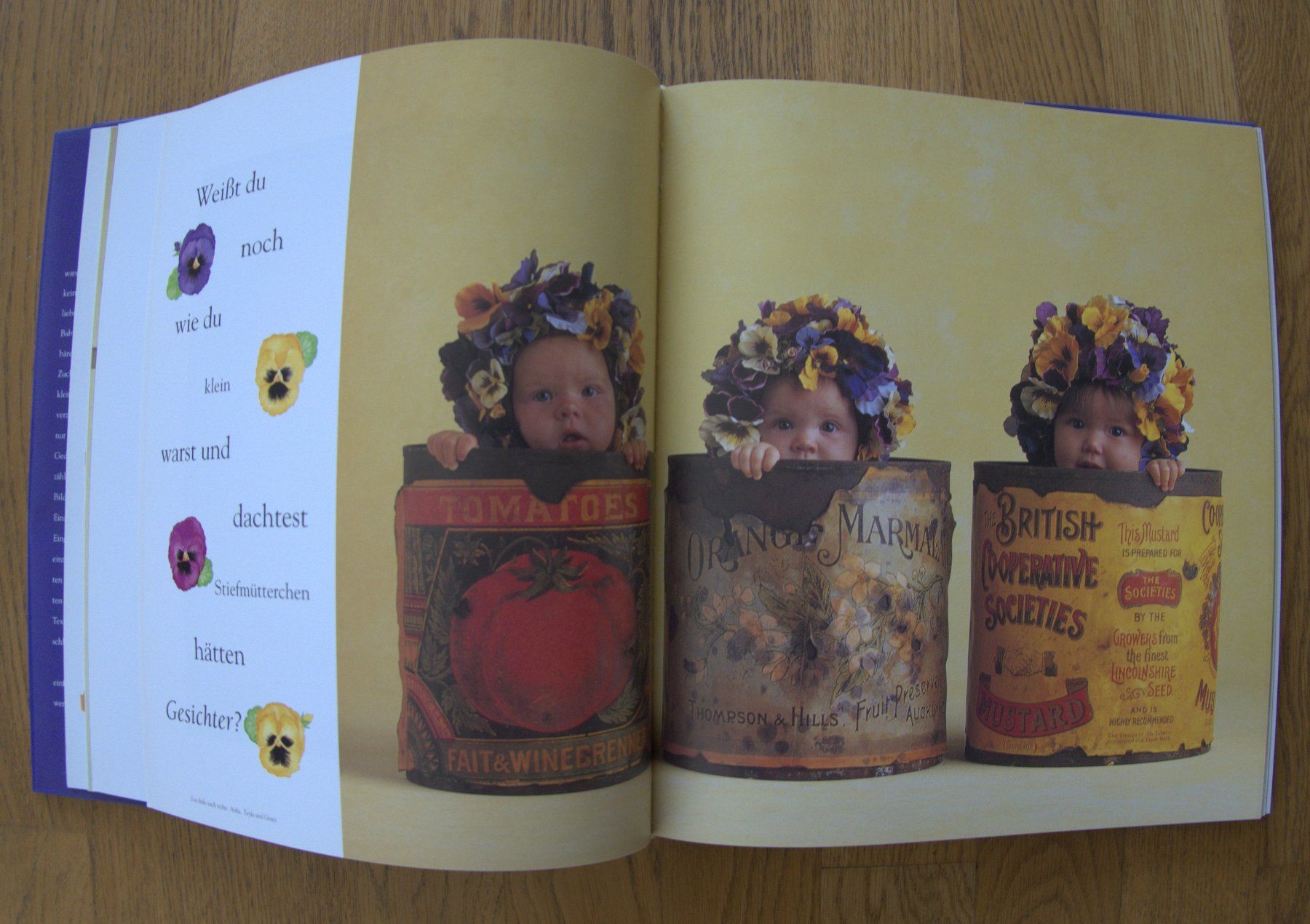 Libri: Anne Geddes "Drunten im Garten" Fotobuch – Usato da Rheinfelden venduto da bigi0956 2