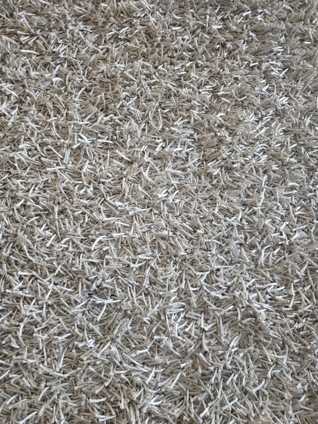 Teppiche: Handgeknüpfter Wollteppich – Gebraucht aus Bremgarten AG von chou89 3