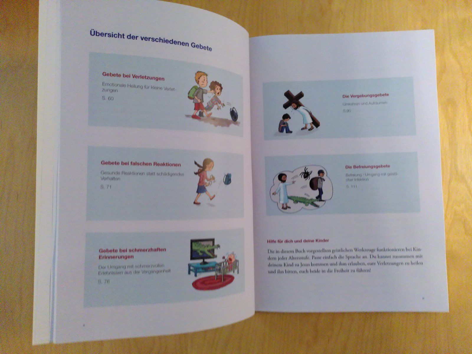Libri: DAS HEILSAME ZUHAUSE/ DANIEL UND ESTHER BAUMGARTNER – Usato da Brugg AG venduto da olamim 3