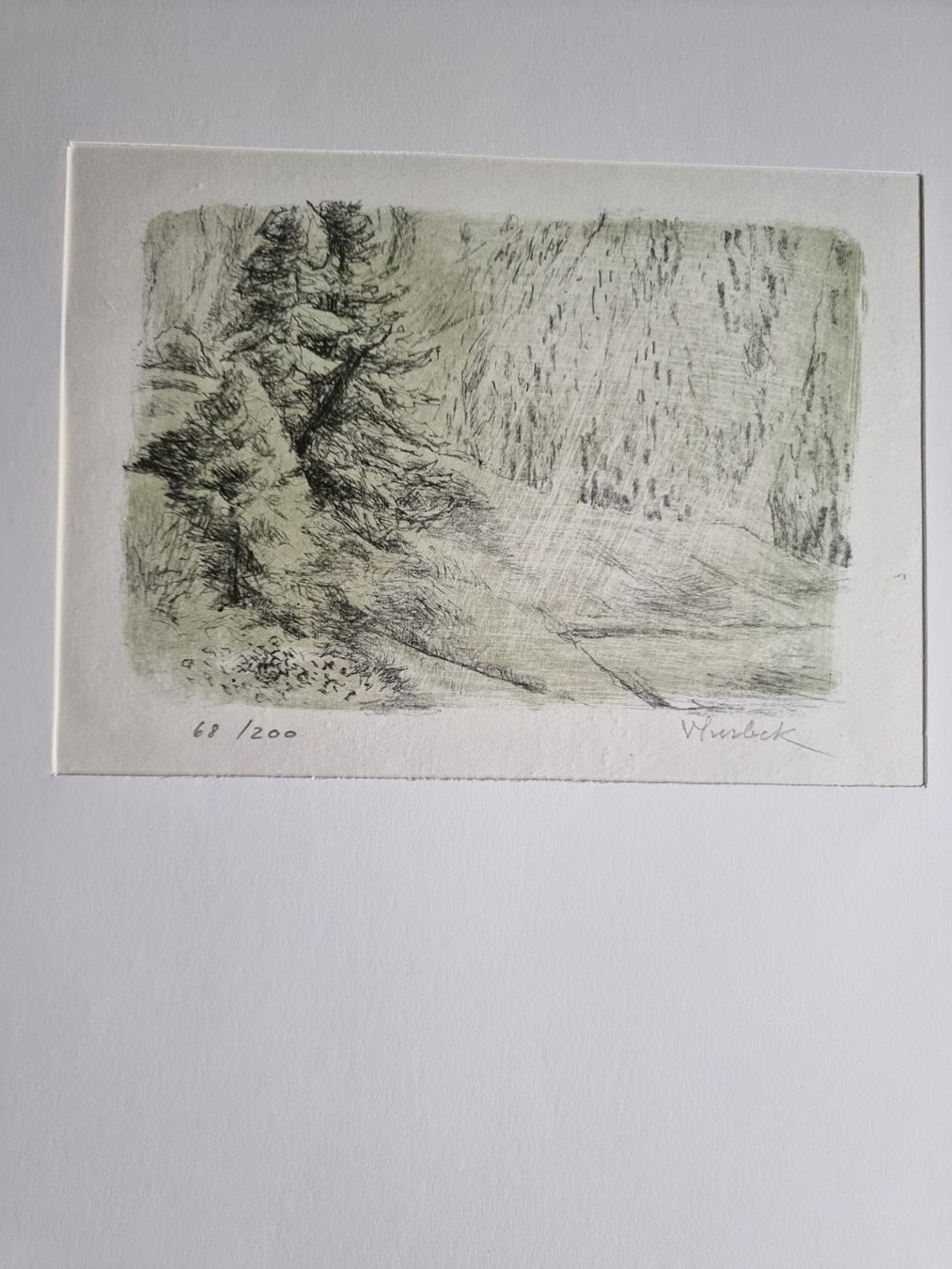 Grafica & Litografie: VIKTOR SURBEK LITHOGRAPHIE SIGNIERT NUMMERIERT – Usato da Gersau venduto da grafik-kunst