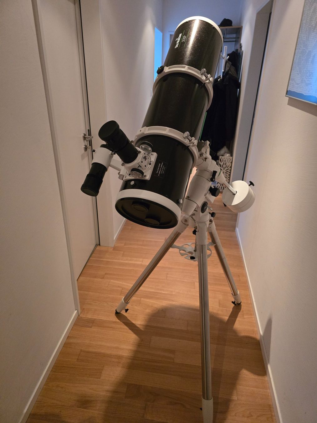 Sky-Watcher Telescopi: Skywatcher Teleskop N 200/1000 Explorer 200P EQ5 Set – Nuovo (secondo la descrizione) da Dietikon venduto da war_wdt5