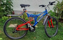 Montenbike Wheeler 4000 CZX