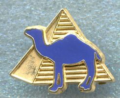 CAMEL 