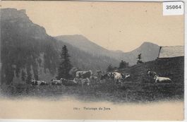 Paturage du Jura - Kuhherde vaches cows