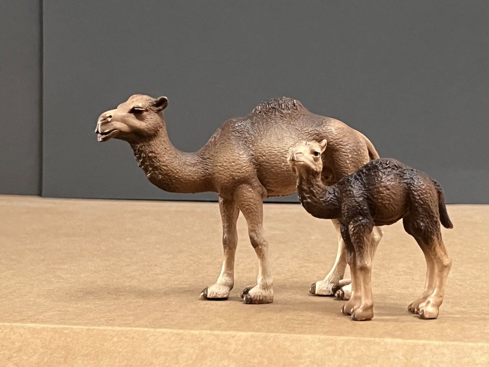 Schleich Dromedar Stute und Fohlen Kamel | Kaufen auf Ricardo
