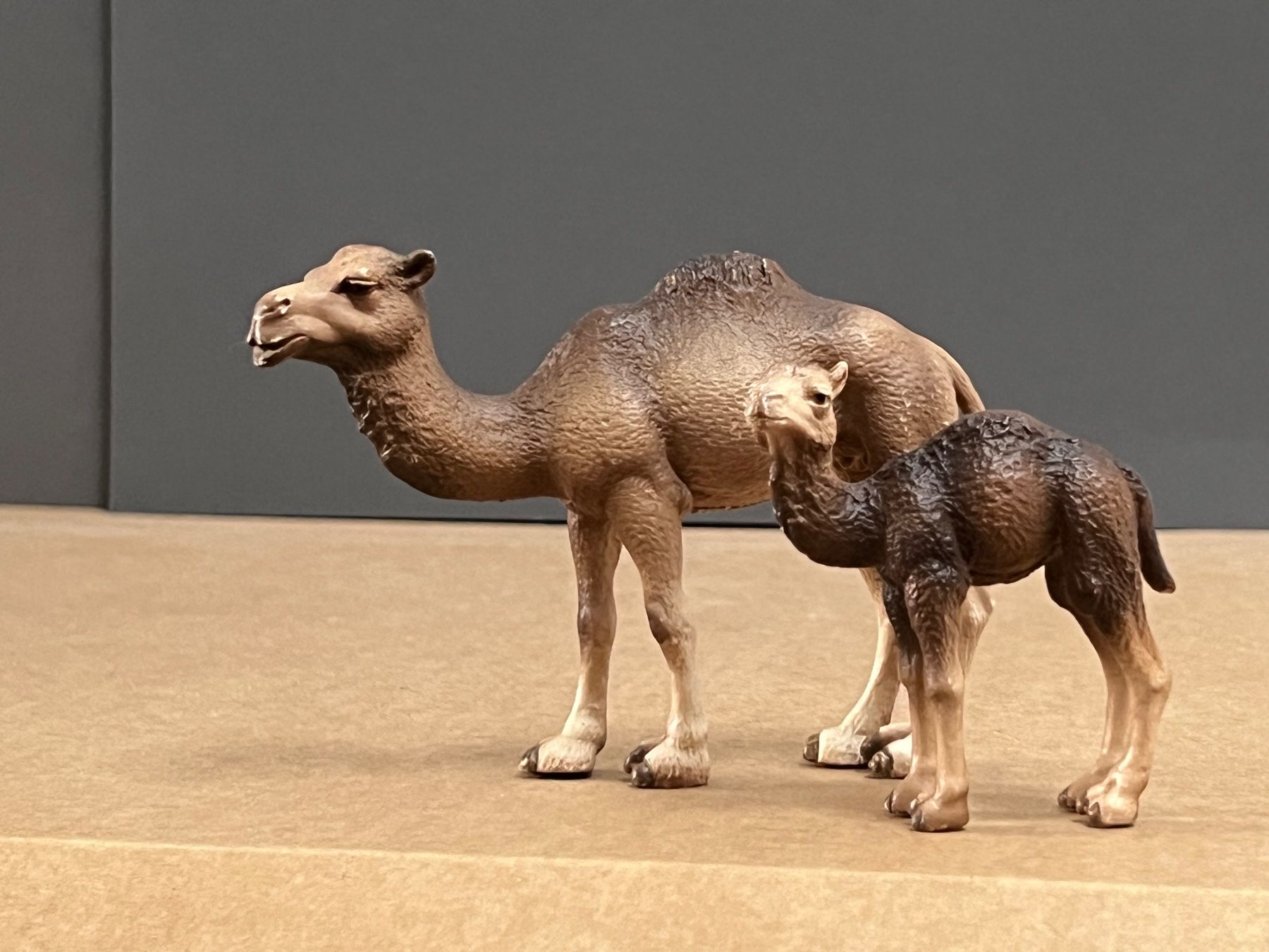 Schleich Sonstiges Spielzeug & Basteln: Schleich Dromedar Stute und Fohlen Kamel – Gebraucht aus Ennetbaden von