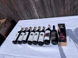 9 Flaschen Weine (128)