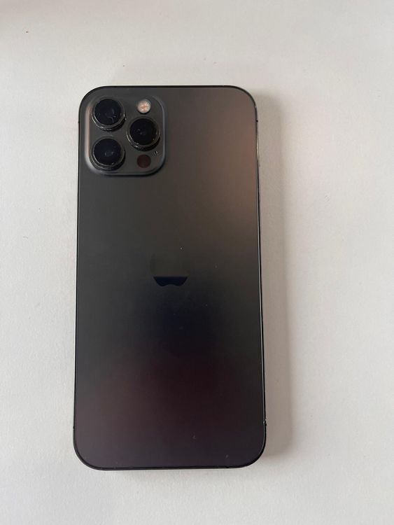 Iphone 12 Plus Max 256GB | Kaufen auf Ricardo