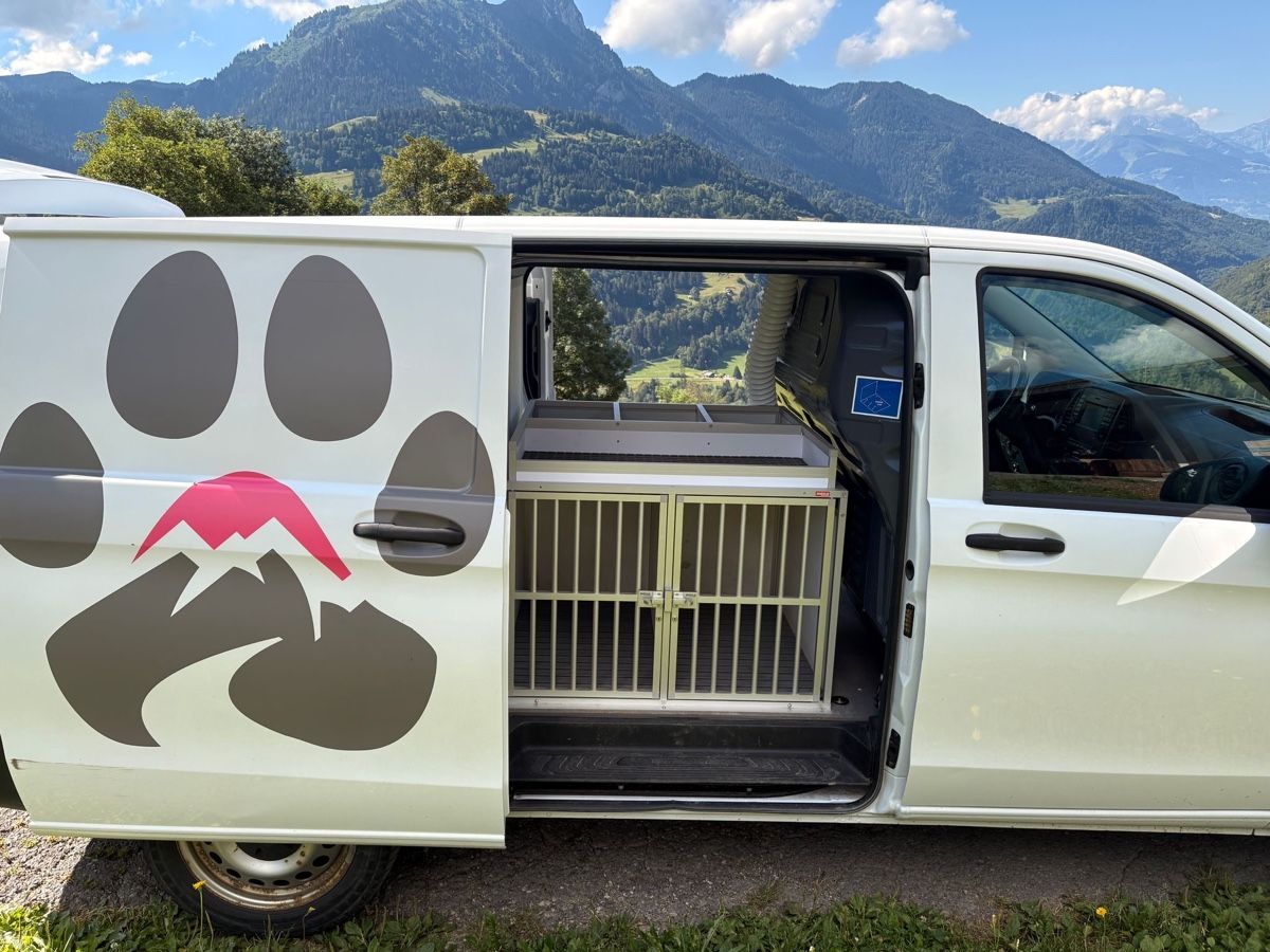 Mercedes-Benz Nutzfahrzeuge: Vito 4x4 automatic avec/sans cage à chien – Gebraucht aus Leysin von luc_htt5 5