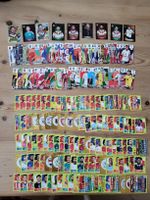 168 Panini Sammlung Fussballkarten Fifa 2026