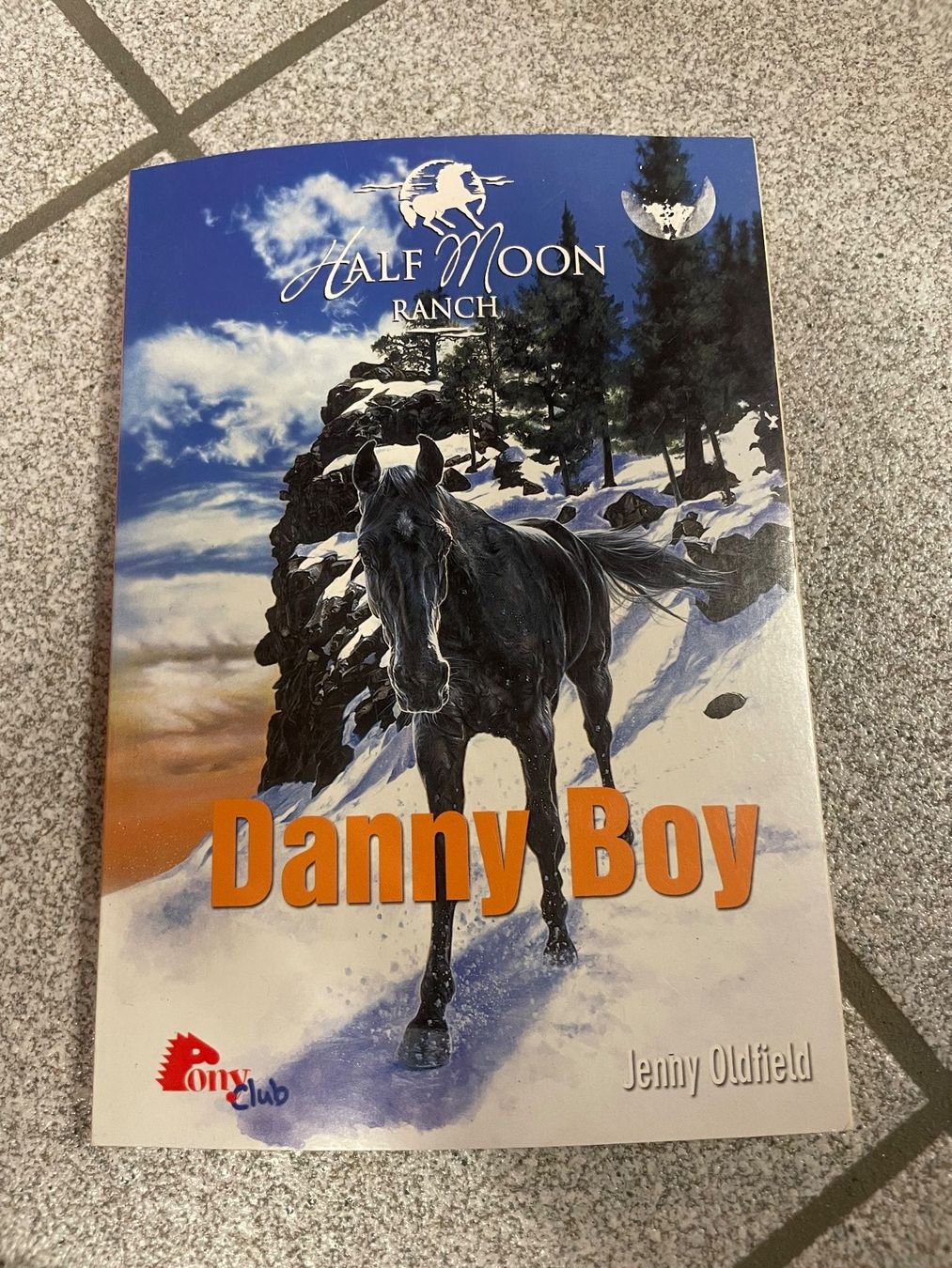 Libri: Jenny Oldfield: Danny Boy - Half Moon Ranch 9 – Usato da Eschen venduto da books_and_more