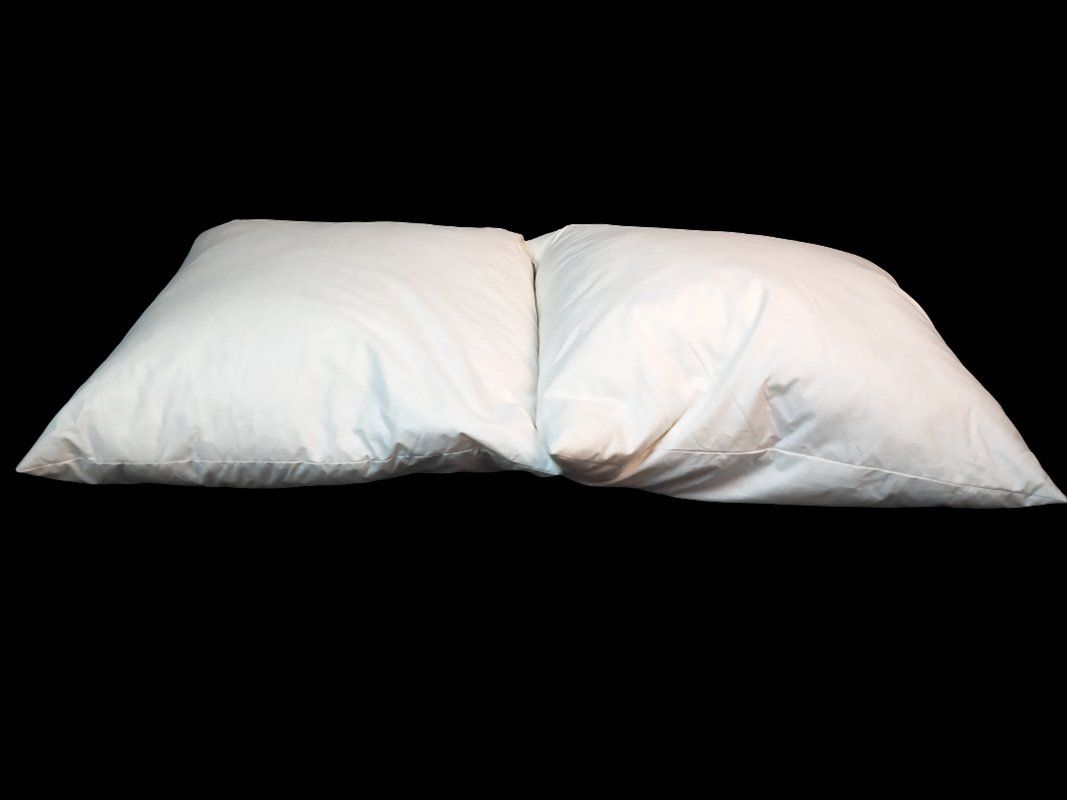 Coussins: 2er Set Feder-Kissen – Neuf (Voir description) à Hünenberg par Restwert_Zug 1